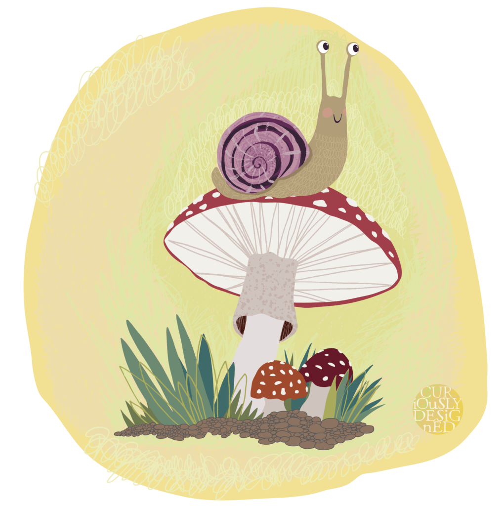Curiously Designed - Snail & Mushroom