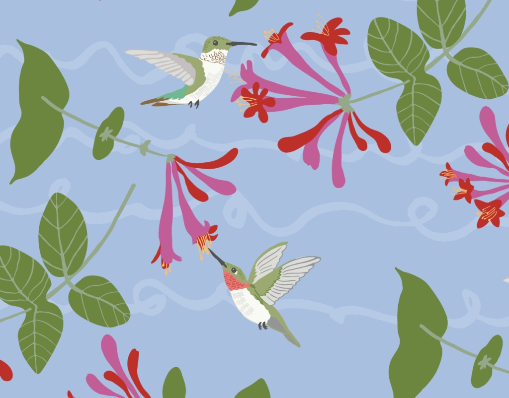 Hummingbirds - by curiously designed